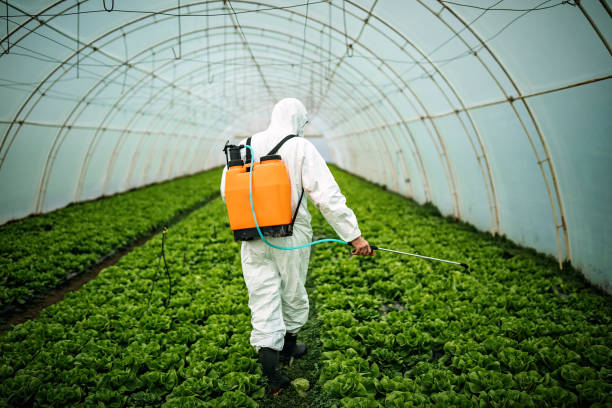 Best Pest Inspection Near Me  in Leisure Village West, NJ