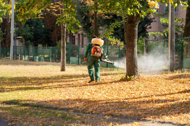 Best Pest Prevention Services  in Leisure Village West, NJ