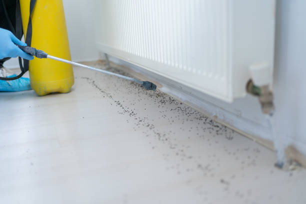 Best Wildlife Control Services  in Leisure Village West, NJ