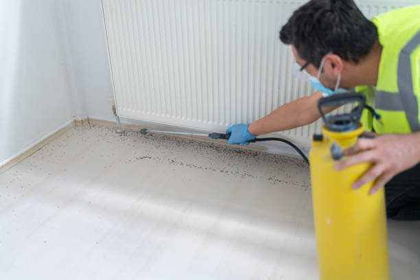 Best Best Pest Control Companies  in Leisure Village West, NJ